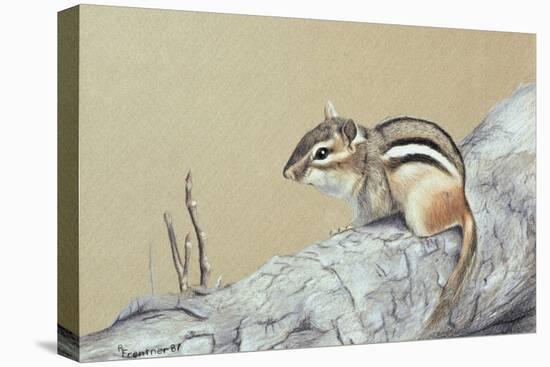 Chipmunk-Rusty Frentner-Premier Image Canvas