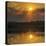 Chobe River, Botswana, Africa. Sunset on the Chobe River.-Karen Ann Sullivan-Premier Image Canvas