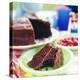 Chocolate Cake-David Munns-Premier Image Canvas