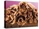 Chocolate Curls on Chocolate Cake-null-Premier Image Canvas