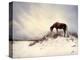 Chocolate Horse Feeding from Dry Brush-Jan Lakey-Premier Image Canvas