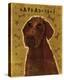 Chocolate Labradoodle-John Golden-Stretched Canvas