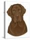 Chocolate Labrador Portrait-Tomoyo Pitcher-Premier Image Canvas