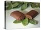 Chocolate Nutrition Bar on Mint Leaves-Chris Rogers-Premier Image Canvas