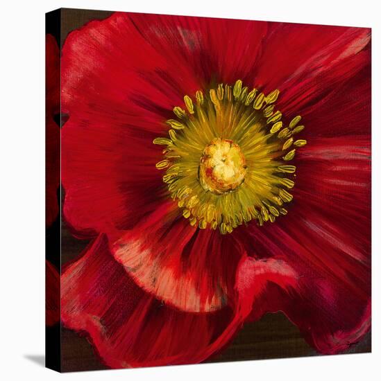 Chocolate Poppy I-Dysart-Stretched Canvas