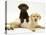 Chocolate Retriever Puppy Lying over a Yellow Retriever Puppy-Jane Burton-Premier Image Canvas