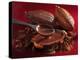 Chocolate Sauce, Cocoa Powder, Cocoa Beans and Cacao Fruits-Karl Newedel-Premier Image Canvas