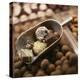 Chocolate Truffles-Joshua Dalsimer-Premier Image Canvas