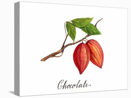 Chocolate-Irina Trzaskos Studio-Premier Image Canvas