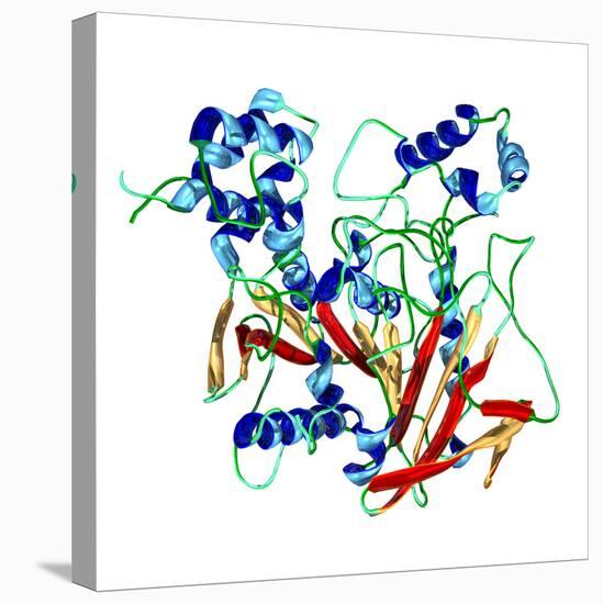 Cholinesterase Enzyme-Dr. Mark J.-Premier Image Canvas
