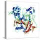 Cholinesterase Enzyme-Dr. Mark J.-Premier Image Canvas