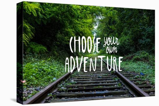 Choose Your Own Adventure-null-Stretched Canvas