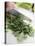 Chopping Parsley-null-Premier Image Canvas
