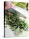Chopping Parsley-null-Premier Image Canvas