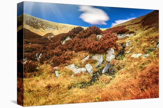 Chorna Hora Mountain Range. Carpathian Mountains. Ukraine-goinyk-Premier Image Canvas