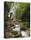 Chorro El Macho Falls, Anton El Valle, Panama-William Sutton-Premier Image Canvas