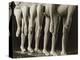 Chorus Girls Lining Up Showing Legs-Bettmann-Premier Image Canvas