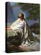Christ in the Garden of Gethsemane by Heinrich Hofmann, 1930S-Heinrich Hofmann-Premier Image Canvas