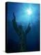 Christ of the Abyss Statue, Pennekamp State Park, FL-Shirley Vanderbilt-Premier Image Canvas