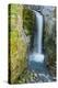 Christine Falls, Mount Rainier National Park, Washington, USA-Michel Hersen-Premier Image Canvas