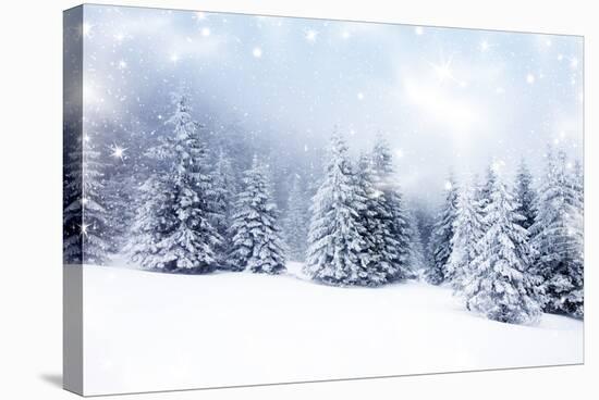 Christmas Background with Snowy Fir Trees-melis-Stretched Canvas