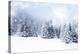 Christmas Background with Snowy Fir Trees-melis-Stretched Canvas