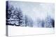 Christmas Background with Snowy Fir Trees-melis-Premier Image Canvas