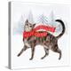 Christmas Cats & Dogs I-Victoria Borges-Stretched Canvas