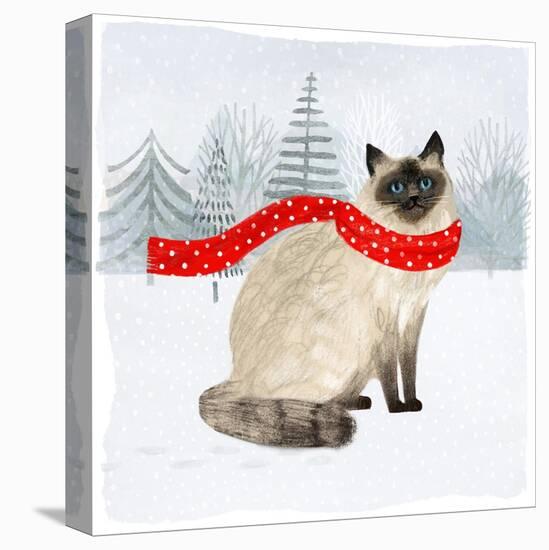 Christmas Cats & Dogs III-Victoria Borges-Stretched Canvas