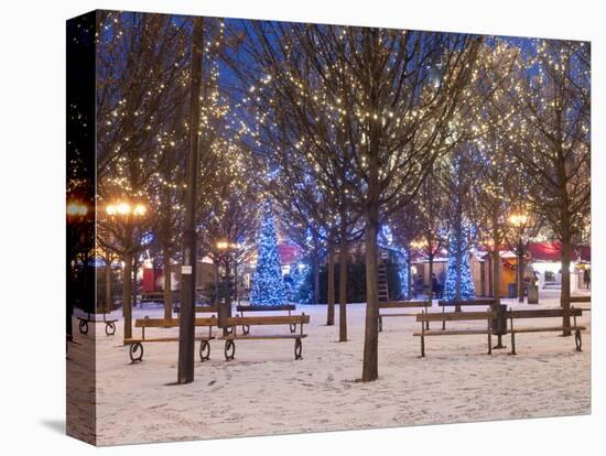 Christmas Decoration at Old Town Square's Park at Twilight, Stare Mesto, Prague, Czech Republic-Richard Nebesky-Premier Image Canvas