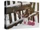 Christmas decoration in the snow, decoration, still life-Andrea Haase-Premier Image Canvas