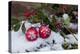 Christmas Decoration, Still Life-Andrea Haase-Premier Image Canvas