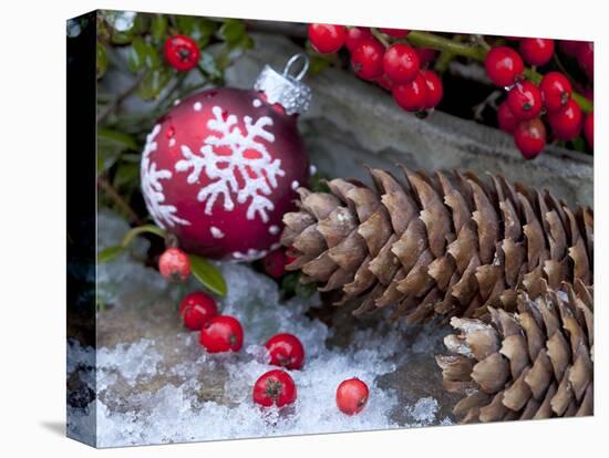 Christmas Decoration, Still Life-Andrea Haase-Premier Image Canvas