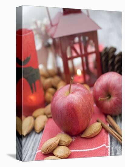 Christmas Decoration with Apples, Nuts, Cinnamon & Lantern-null-Premier Image Canvas