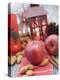 Christmas Decoration with Apples, Nuts, Cinnamon & Lantern-null-Premier Image Canvas