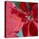 Christmas Decorations-Sean Justice-Premier Image Canvas