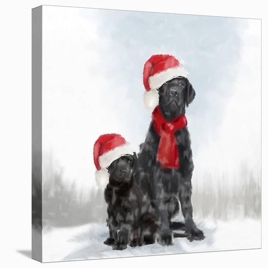 Christmas DOGS-Clare Davis London-Premier Image Canvas