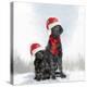 Christmas DOGS-Clare Davis London-Premier Image Canvas