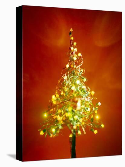 Christmas Lights-Lawrence Lawry-Premier Image Canvas