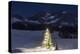 Christmas Mood at Arosa-Armin Mathis-Premier Image Canvas