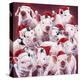 Christmas Piggies-Jenny Newland-Premier Image Canvas