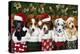 Christmas Puppies-William Vanderdasson-Premier Image Canvas