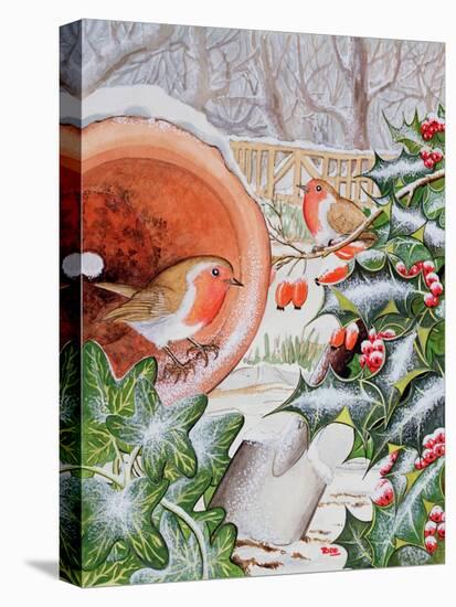 Christmas Robins-Tony Todd-Premier Image Canvas