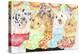 Christmas Stocking Pups-Karen Middleton-Premier Image Canvas