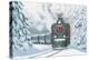 Christmas Train-Wellington Studio-Stretched Canvas