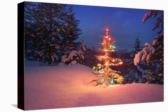 Christmas Tree in Snow with Lights-null-Premier Image Canvas
