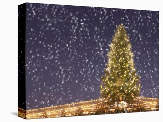 Christmas Tree under Snowfall-null-Premier Image Canvas