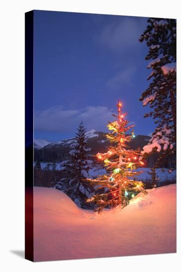 Christmas Tree-null-Premier Image Canvas