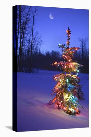 Christmas Tree-null-Premier Image Canvas