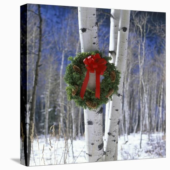 CHRISTMAS WREATH OF GREENS AND PINE CONES HANGING ON BIRCH TREE ON WINTER DAY-Panoramic Images-Premier Image Canvas